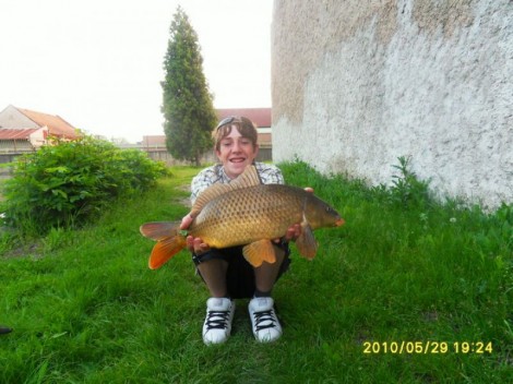 Kapr obecný, 68 cm, 5 kg