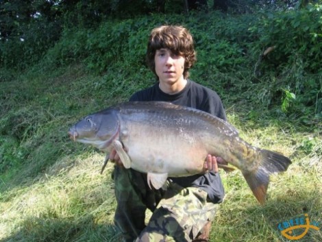 Kapr obecný, 87 cm, 14.75 kg