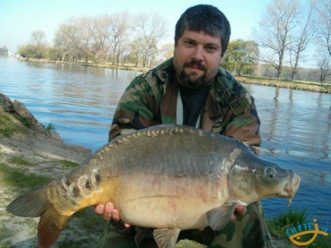 Kapr obecný, 72 cm, 8.3 kg
