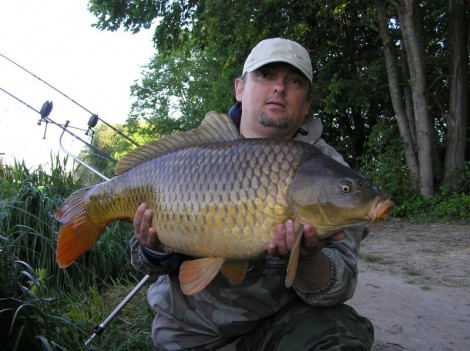Kapr obecný, 84 cm, 12 kg