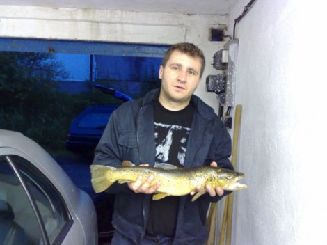 Pstruh obecný, 53 cm