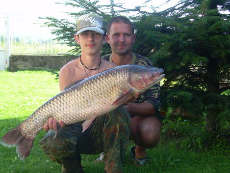 Amur bílý, 95 cm, 11.5 kg