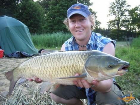 Amur bílý, 77 cm, 6.5 kg