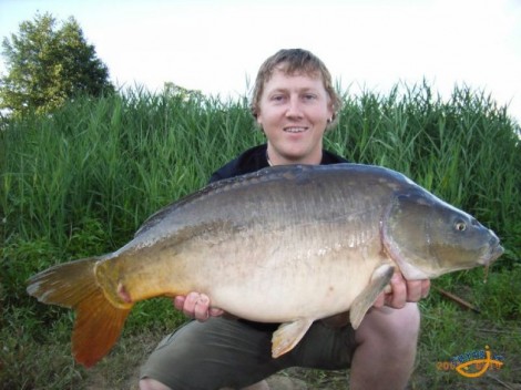 Kapr obecný, 78 cm, 9.5 kg