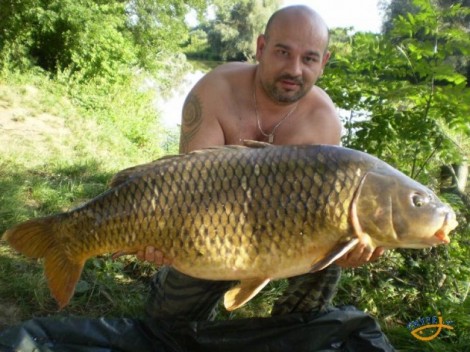 Kapr obecný, 109 cm, 22.5 kg