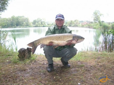 Amur bílý, 96 cm, 11.5 kg