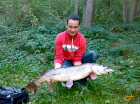 Štika obecná, 110 cm, 10.05 kg