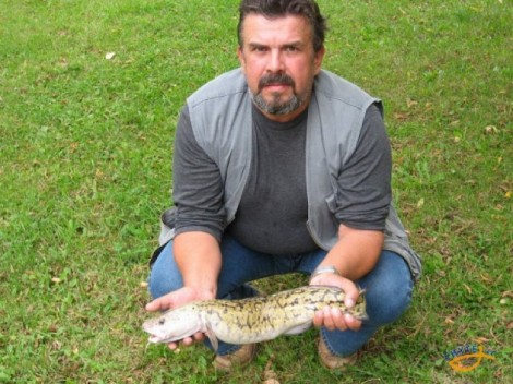Mník jednovousý, 71 cm, 2.7 kg