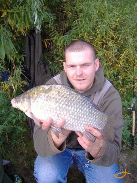 Karas stříbřitý, 44 cm