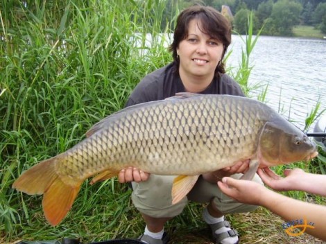 Kapr obecný, 93 cm, 11.5 kg