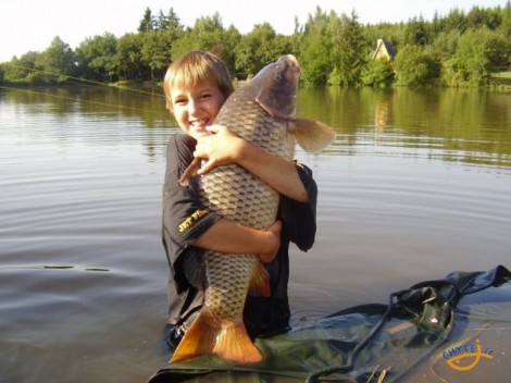Kapr obecný, 85 cm, 11 kg