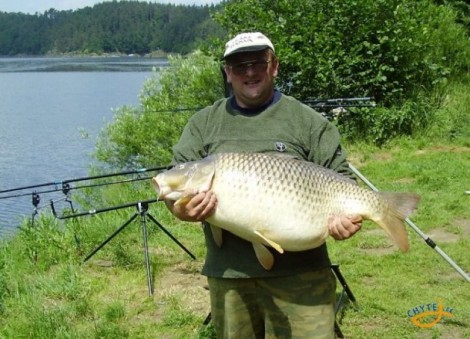 Kapr obecný, 96 cm, 21 kg