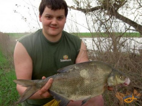 Cejn velký, 61 cm, 2.6 kg