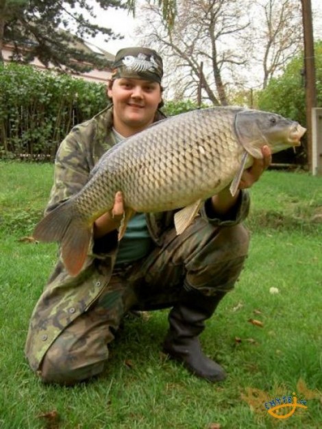 Kapr obecný, 74 cm, 8.5 kg