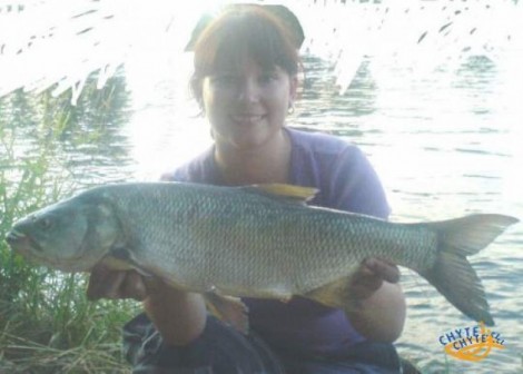 Bolen dravý, 68 cm