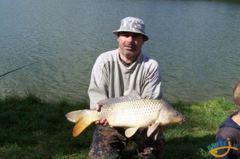 Kapr obecný, 71 cm