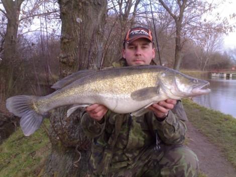 Candát obecný, 91 cm, 8.2 kg