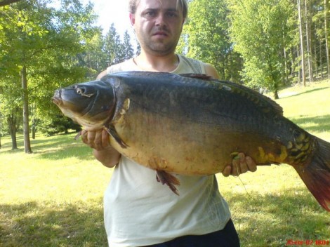 Kapr obecný, 80 cm, 12 kg