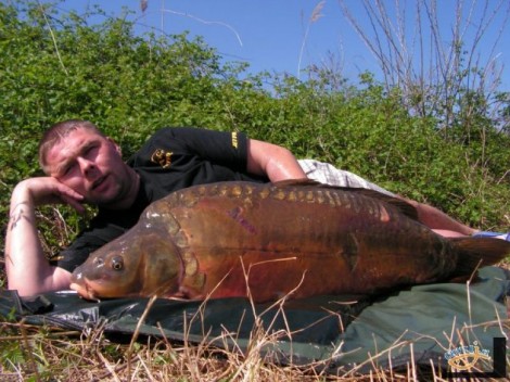 Kapr obecný, 110 cm, 24.5 kg