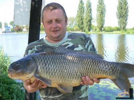 Kapr obecný, 77 cm, 7.6 kg