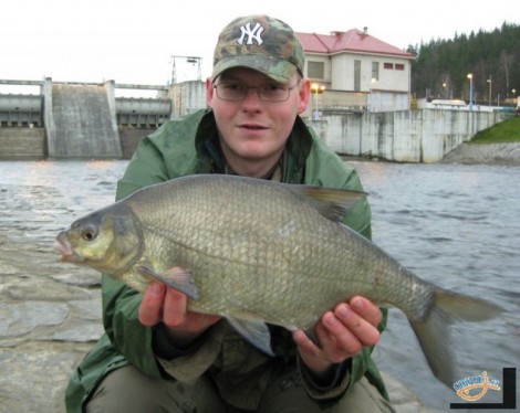 Cejn velký, 58 cm, 2.7 kg