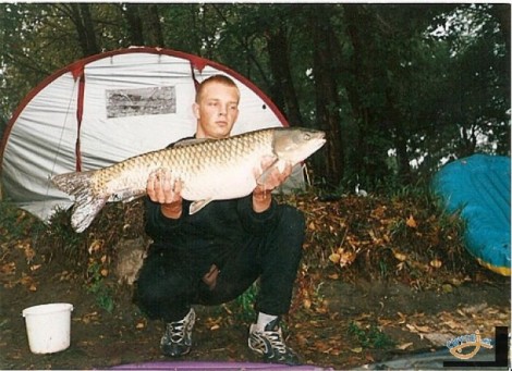 Amur bílý, 100 cm, 10 kg