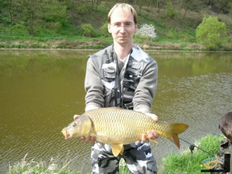 Kapr obecný, 64 cm, 4.1 kg