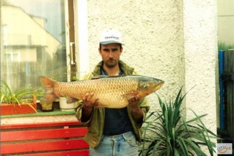 Amur bílý, 90 cm, 10 kg