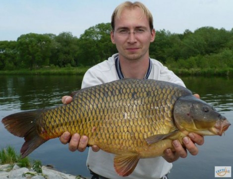 Kapr obecný, 64 cm, 5.5 kg