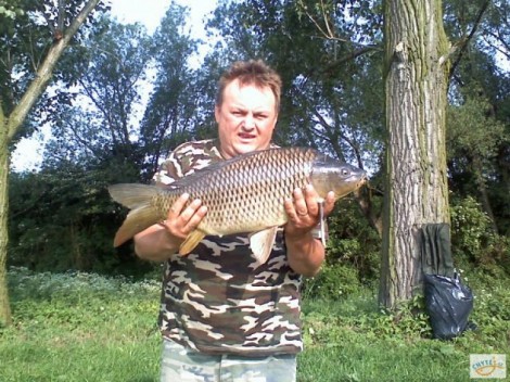 Kapr obecný, 67 cm