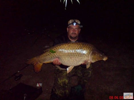 Kapr obecný, 100 cm, 16 kg