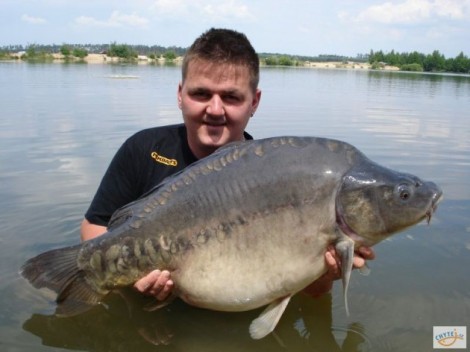 Kapr obecný, 91 cm, 17.5 kg