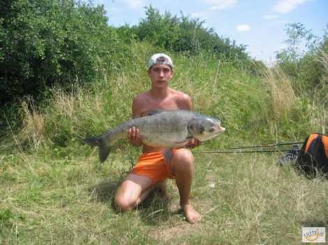 Tolstolobik bílý, 95 cm, 15 kg