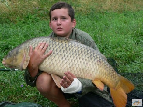 Kapr obecný, 104 cm, 18.5 kg