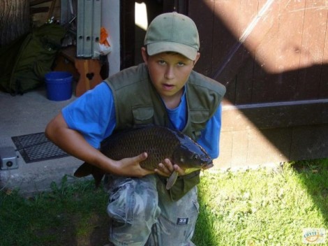 Kapr obecný, 60 cm, 5 kg