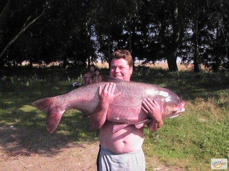 Tolstolobik bílý, 128 cm, 40 kg