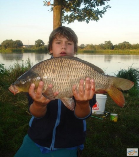 Kapr obecný, 55 cm