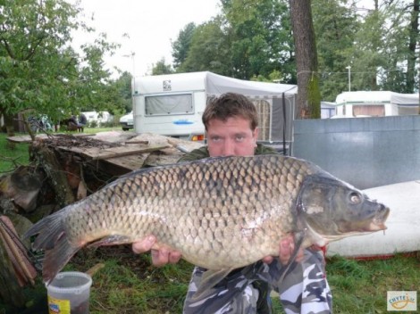 Kapr obecný, 95 cm, 15 kg