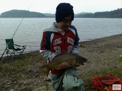 Kapr obecný, 51 cm