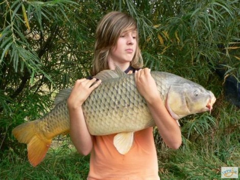 Kapr obecný, 102 cm