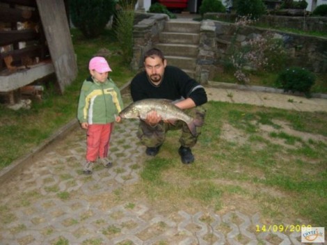 Bolen dravý, 72 cm, 3.5 kg