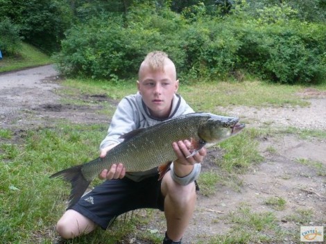 Bolen dravý, 55 cm