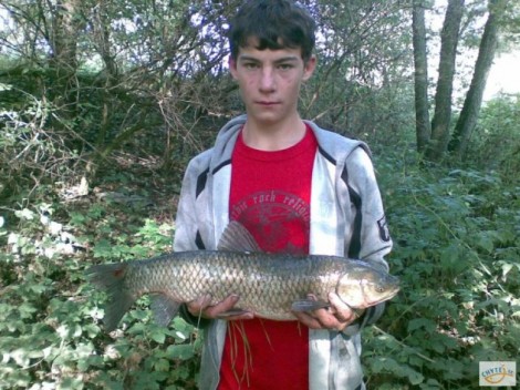 Amur bílý, 73 cm, 5 kg