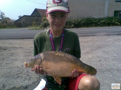 Kapr obecný, 65 cm, 4 kg