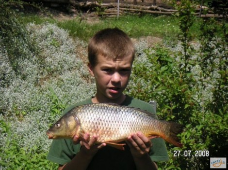 Kapr obecný, 54 cm