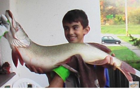 Štika obecná, 100 cm, 9.7 kg