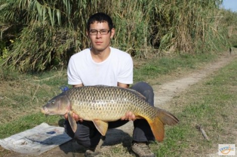 Kapr obecný, 90 cm