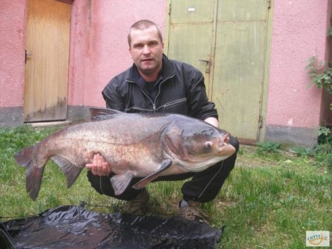 Tolstolobec pestrý, 122 cm, 28 kg