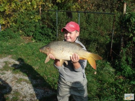Kapr obecný, 73 cm, 6 kg