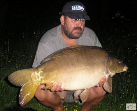 Kapr obecný, 84 cm, 13.8 kg